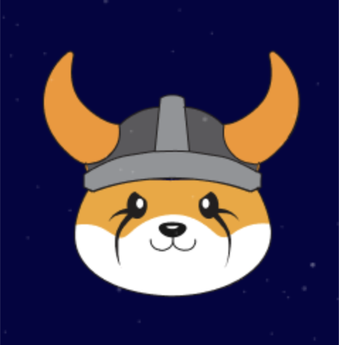 FLOKI Token